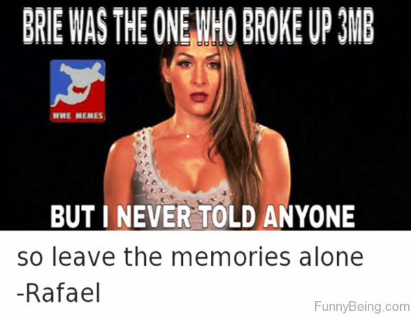 Brie Was The One Who Broke Up 3MB