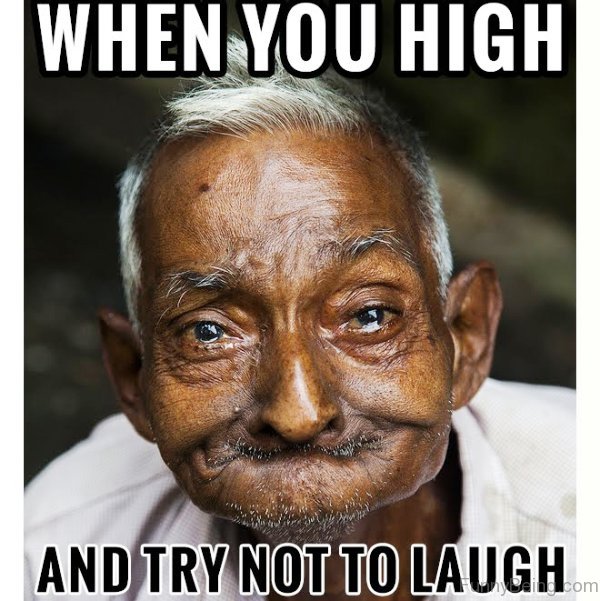81 Classic Weed Memes For You