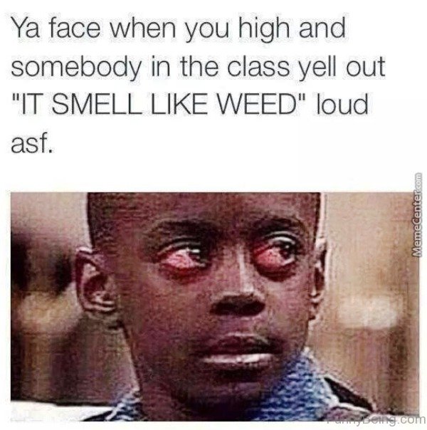 81 Classic Weed Memes For You