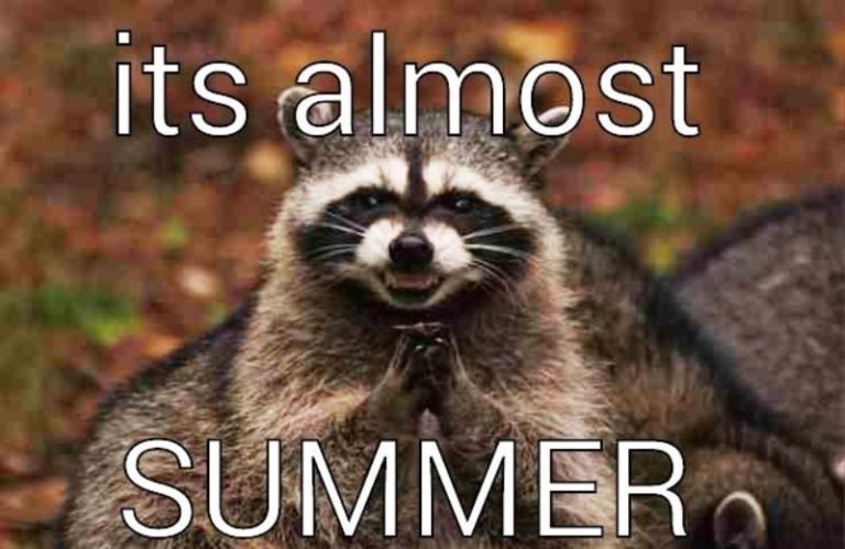 90 Best Summer Memes