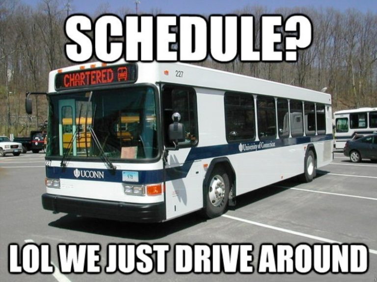 15 Best Bus Memes For You