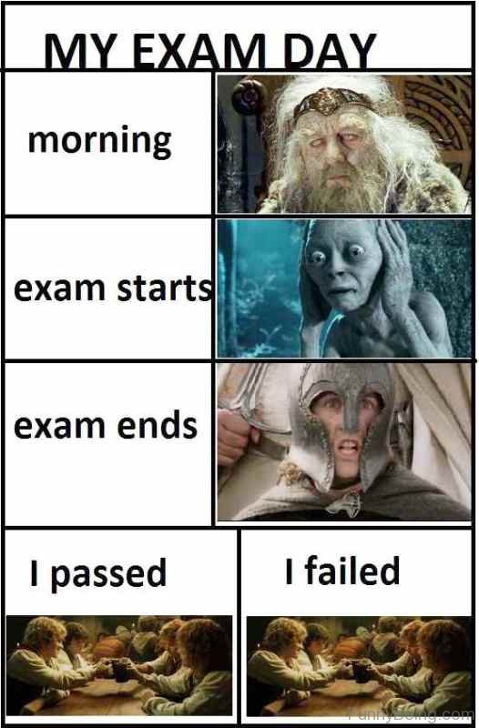 20 Funniest Exam Memes