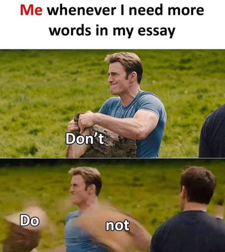 jokes about essay writing