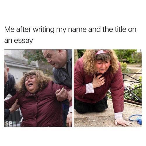 funny memes about writing essays